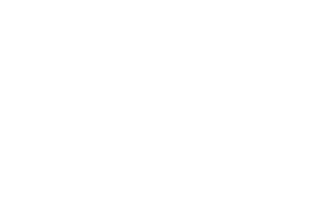 Ford Service