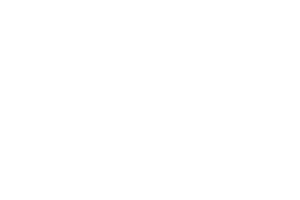 Toyota Service