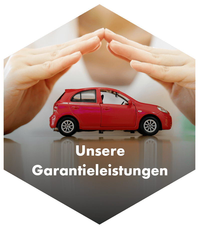 Unser Fahrzeugangebot